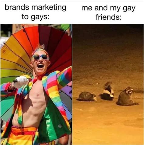 funny gay pictures|45 Funny LGBTQ+ Memes To Kick Your Pride Month Off With A .